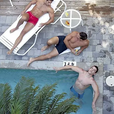 Pineapple Point Guesthouse & Resort - Gay Men'S Resort-2